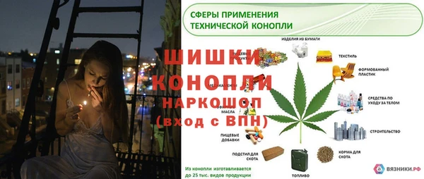 сатива Заволжск