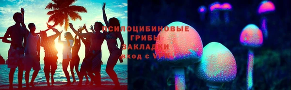 сатива Заволжск