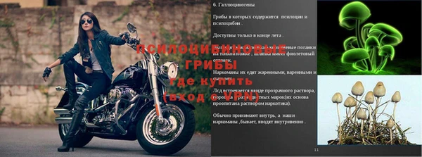 стаф Зеленодольск